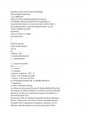 Proyecto de Responsabilidad Social