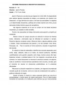 Informe pedagógico descriptivo individual