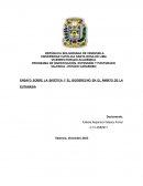 Ensayo sobre la bioética y el bioderecho en el ámbito de la eutanasia