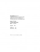 Desarrollo de la competitividad a largo plazo de tecnología de la información