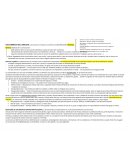 Uso correcto del lenguaje: Las personas se relacionan a través de la comunicación