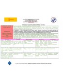 Plan de mejora continua escolar