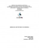 Gerencia del sector público en Venezuela
