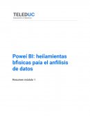 Poweí BI: heííamientas bfisicas paía el anfilisis de datos