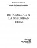 Introduccion a la seguridad social