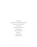 Tarea semana 2, ramo Proyectos Sociales