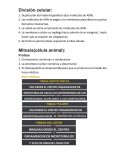 División celular y mitosis