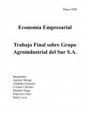 Trabajo Final sobre Grupo Agroindustrial del Sur S.A