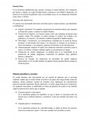 Funciones del sistema óseo