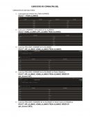 Ejercicios SQL