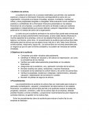 Auditoria de activos