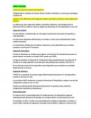 ¿Cómo se evitan las tormentas de broadcast?