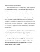 Explorando el Ensayo de Cizalladura