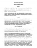 Sobre la sangre humana en el cuerpo