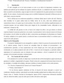 Postcosecha del Café: Procesos, Variedades y Consideraciones Generales