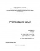 Gerencia en Salud Publica. Promoción de Salud
