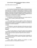 Auditoría de Seguridad e Higiene en Industria