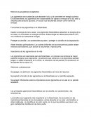 Partes en las que podemos ver pigmentos