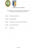 Principios fundamentales de la economía: Cinco ejemplos ilustrativos