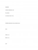 Campamentos mineros Actividad minera