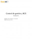 Control de gestión y BCS Hortifrut S.A