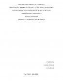Informe de producción de cerdos de engordes