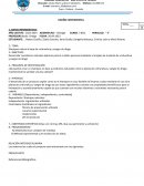 Diseño experimental. Shampoo natural a base de umhurahua y sangre de drago