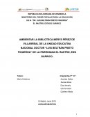 Ambientar La Biblioteca Merys Pérez de Villarreal de la Unidad Educativa Nacional Doctor Luís Beltrán Prieto Figueroa