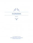 Principales divisiones de la economía