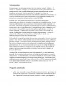 Consulta popular 2024