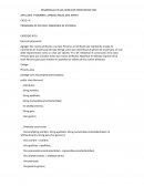 Desarrollo de los ejercicios propuestos-POO