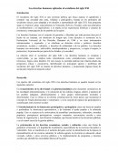 Los derechos humanos aplicados al socialismo del siglo XXI