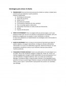 Estrategias para atraer al cliente