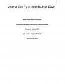 Visita al CRIT y al instituto José David