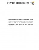 Organización propuesta para el desarrollo del servicio