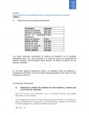 Determinación de las necesidades financieras y ayudas económicas para la empresa