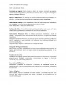 Análisis de los Estilos de Liderazgo