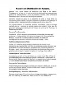 Canales de distribución de Amazon