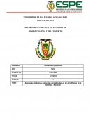 Amenazas globales y regionales consideradas en el Libro Blanco de la Defensa