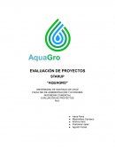 Evaluacion de proyecto Aquagro