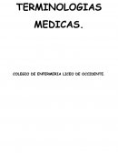 Terminologías médicas