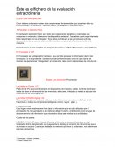 El sistema ordenador