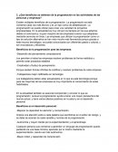 ¿Qué beneficios se obtienen de la programación en las actividades de las personas y empresas?