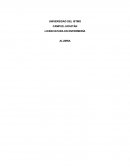 Proceso de enfermería a la familia