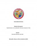 Implementación de una aplicación móvil para compras en línea