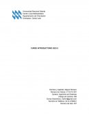 Curso introductorio UNA