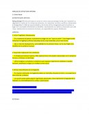 Análisis de estructura interna