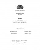 Informe de mediciones y errores
