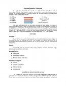 Análisis de la situación actual de la comunidad C.E.I.B “Los Caratales”