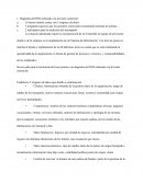 Diagrama del DSS enfocado a la división comercial